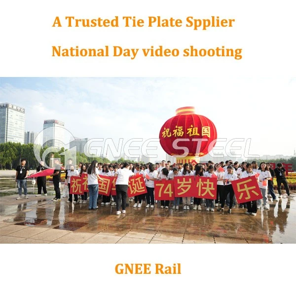 Rail Tie Plate for 115RE Rail Rail Tie Plate for 115RE Rail